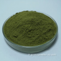 Succo di grano in polvere verde